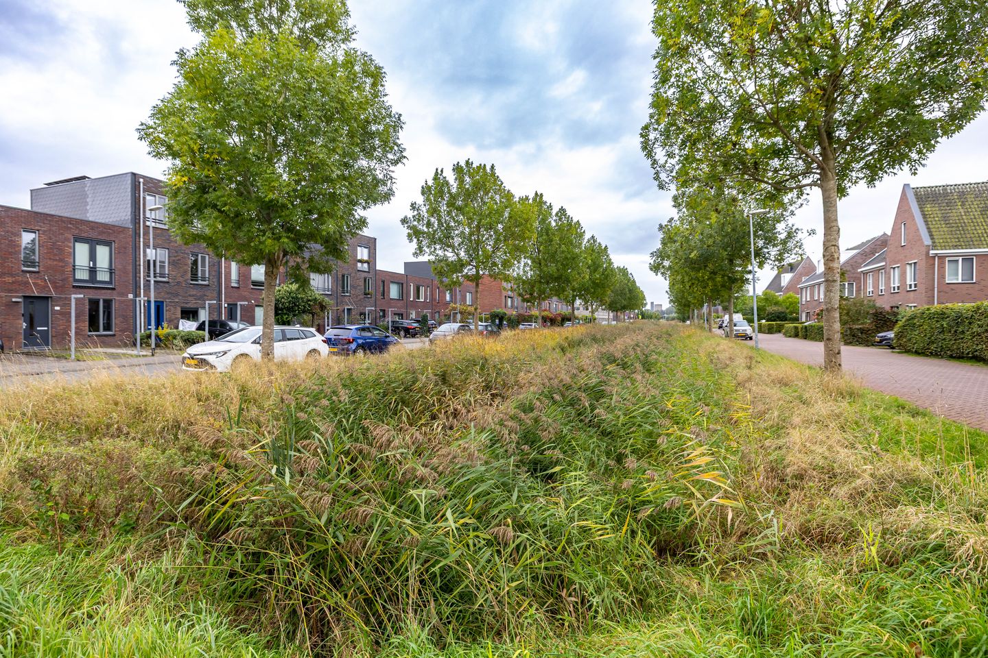 Photo 34 of Joeswerd 45