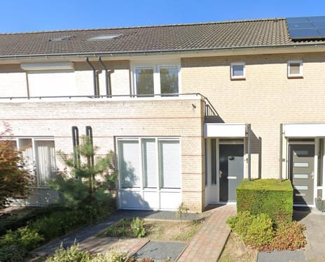 undefined main image