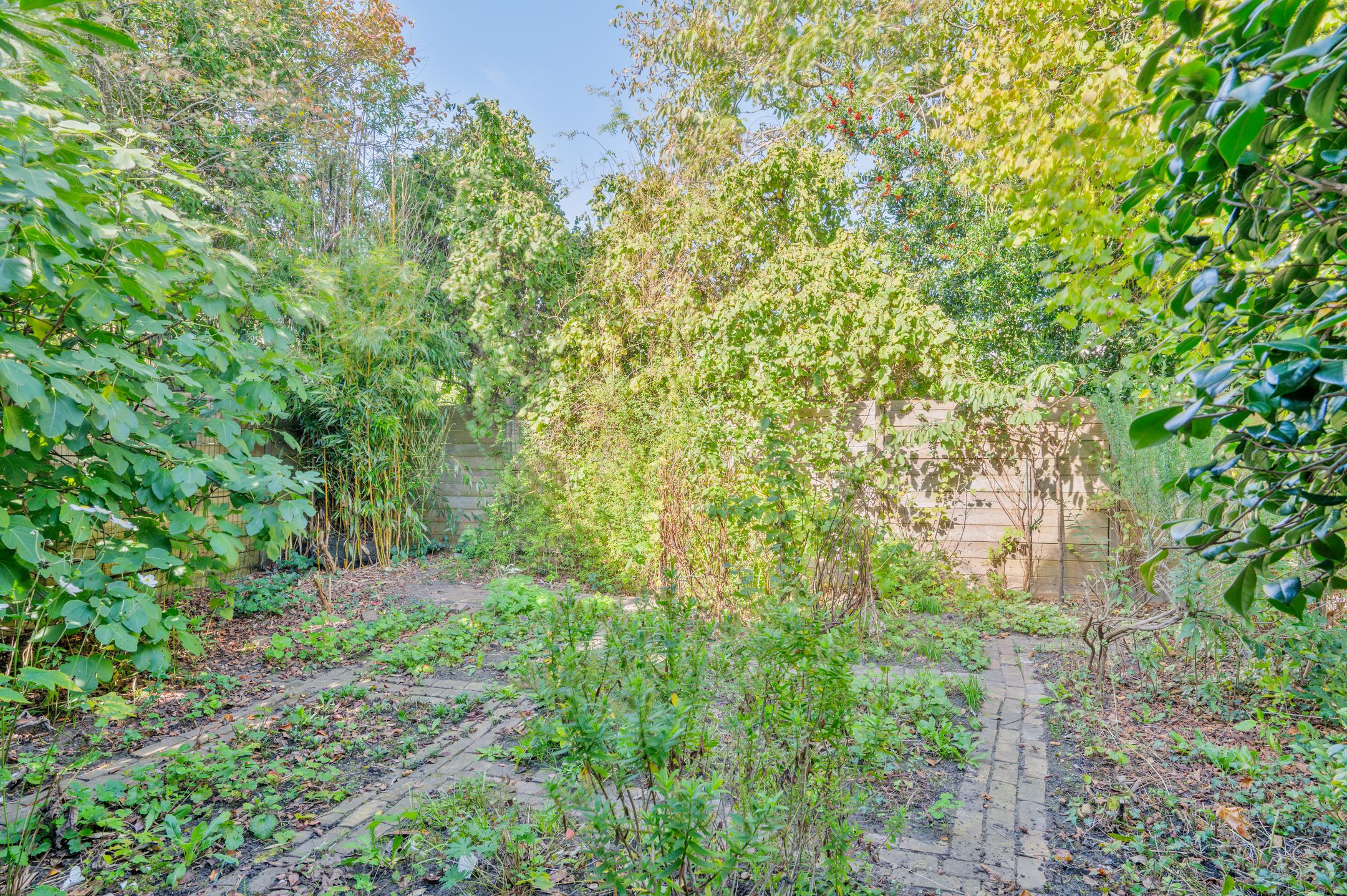 Foto 27 van Torenstraat 12