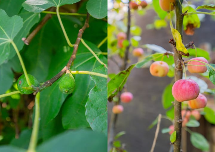 Photo 29 of Torenstraat 12