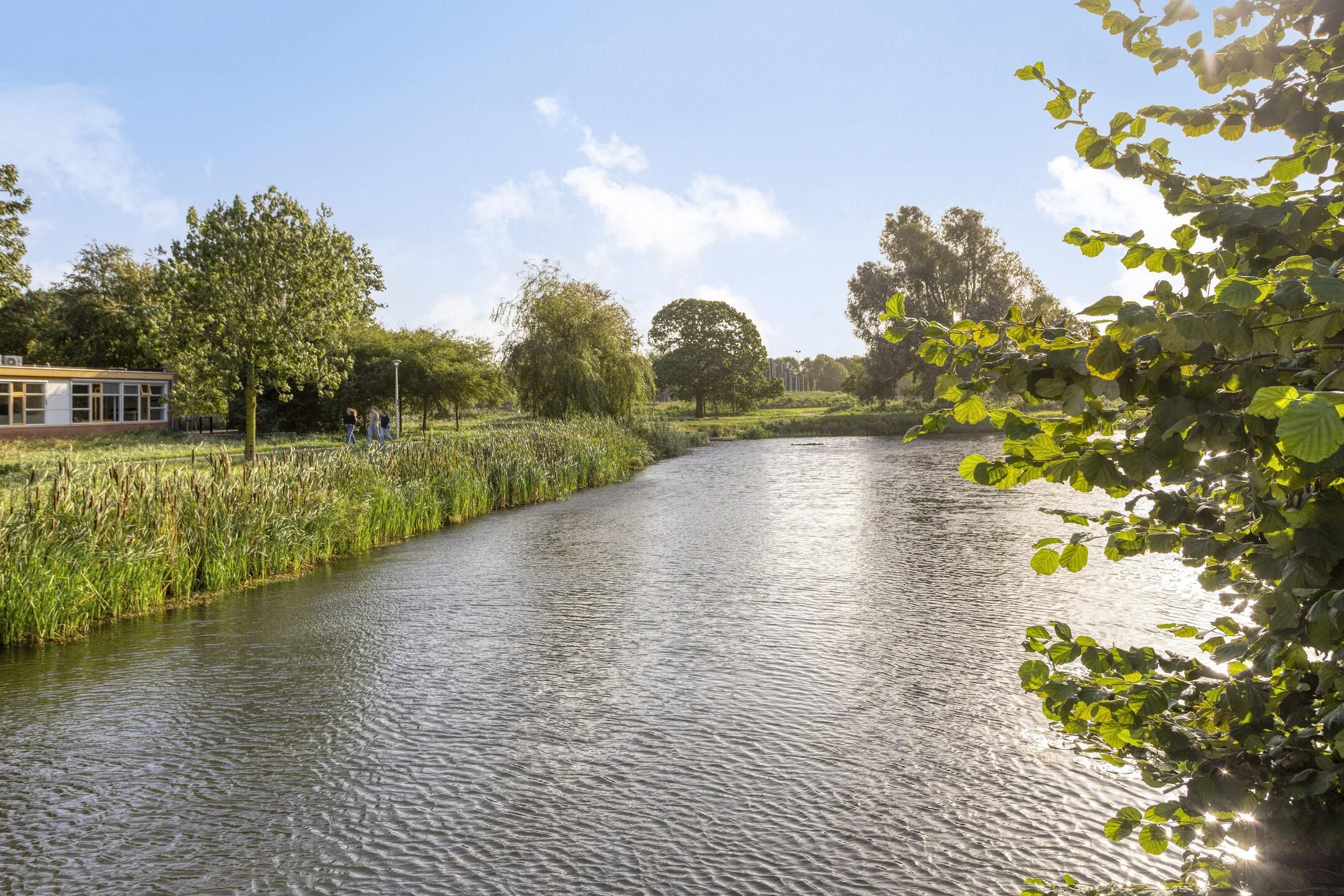 Foto 27 van Penningkruidweg 54