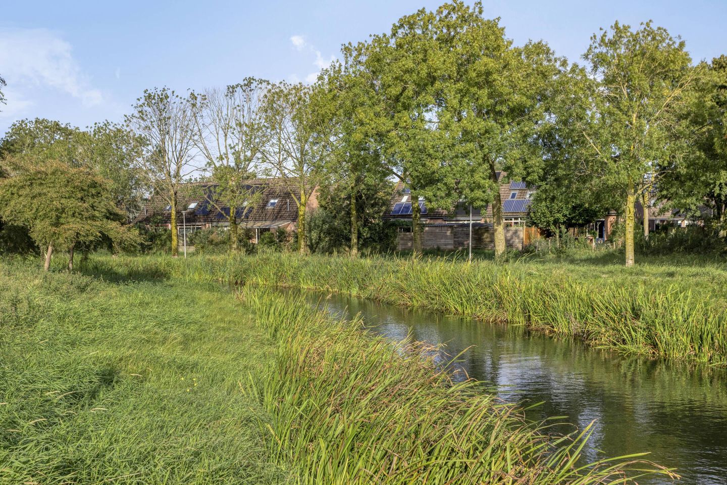 Foto 29 van Penningkruidweg 54