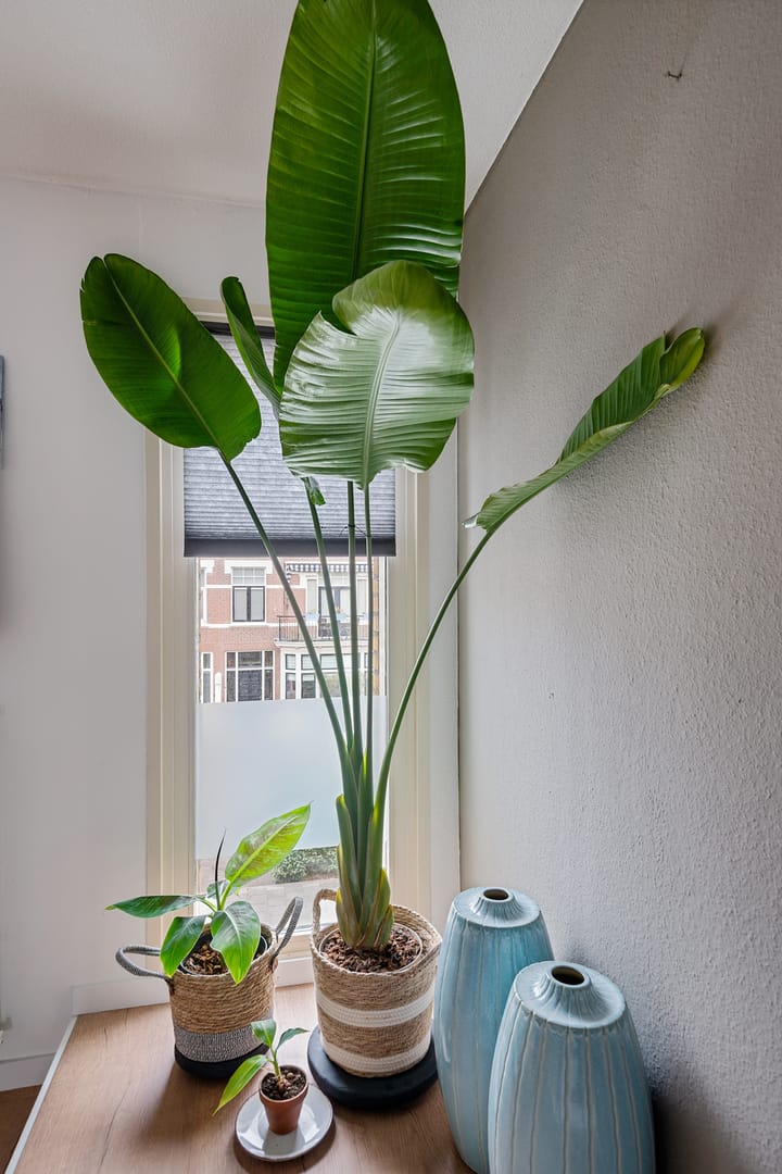 Photo 21 of van Speijkstraat 59