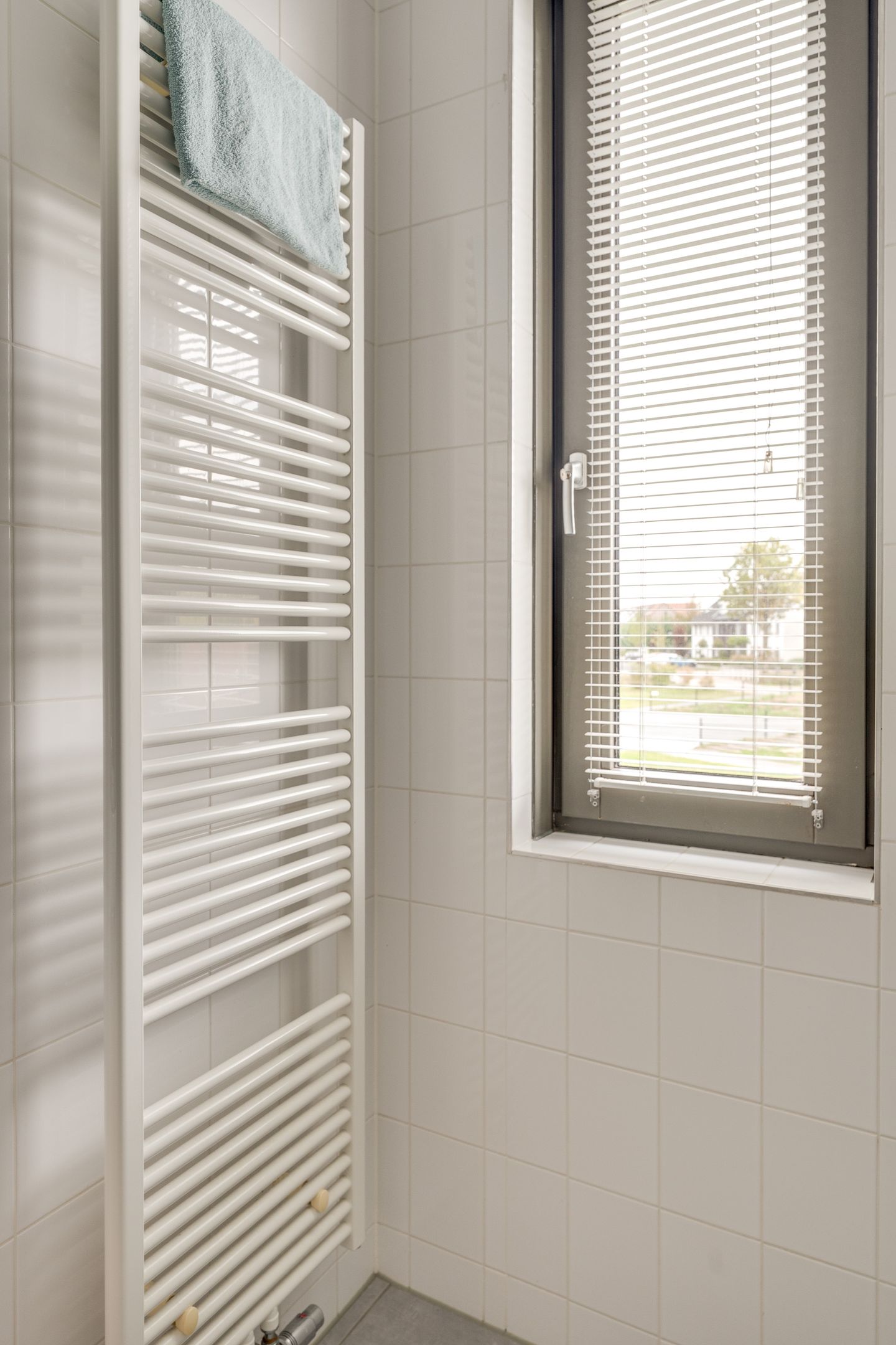 Foto 29 van Honingbij 104