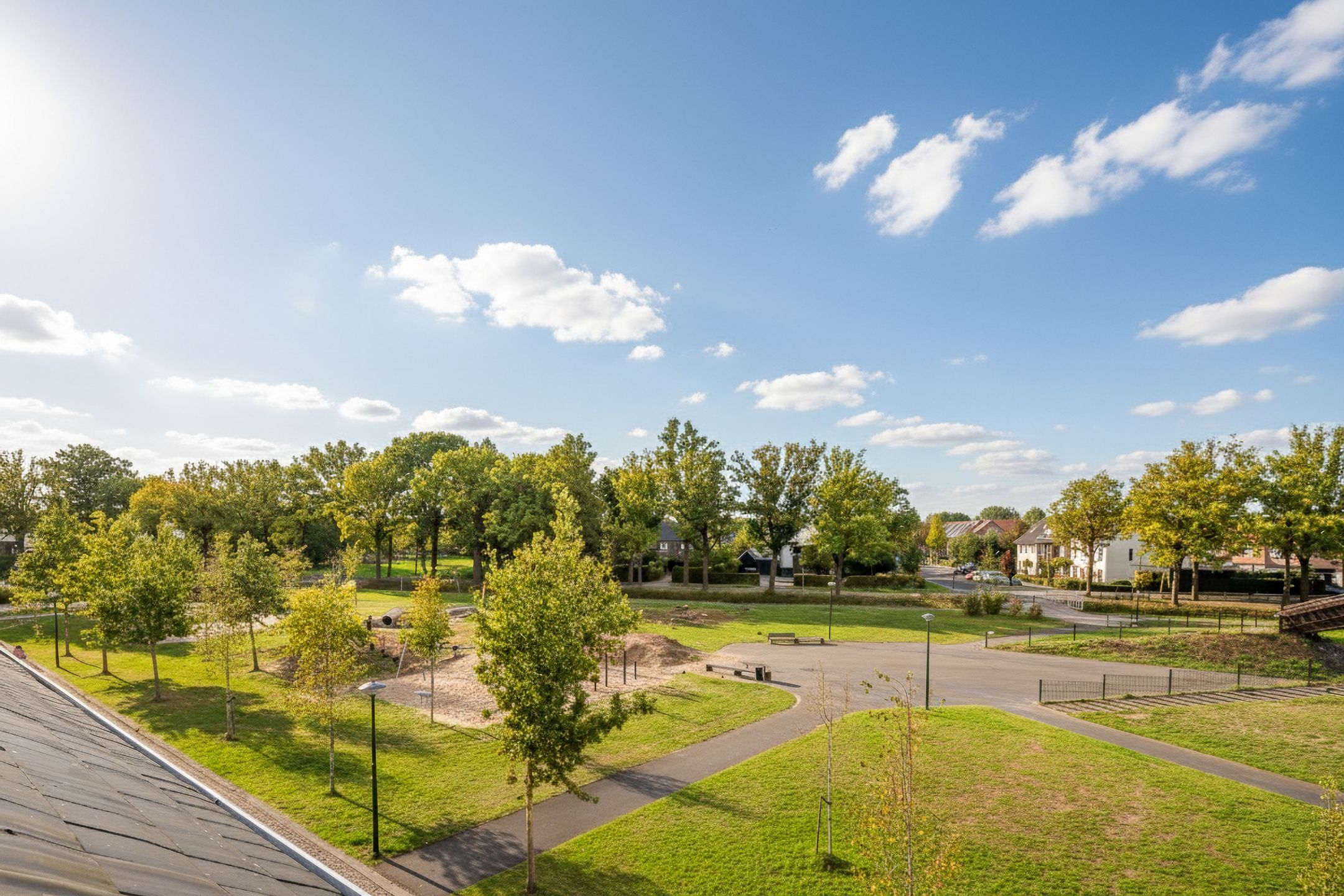 Foto 36 van Honingbij 104