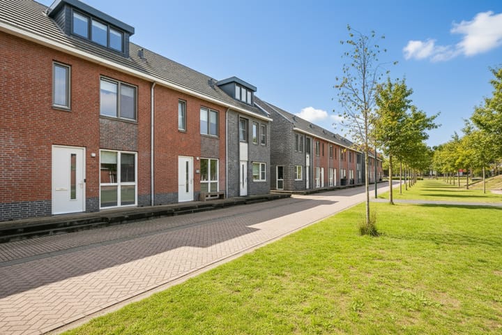 Foto 2 van Honingbij 104