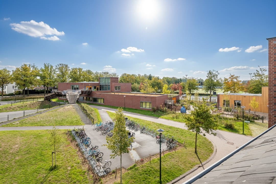 Foto 38 van Honingbij 104