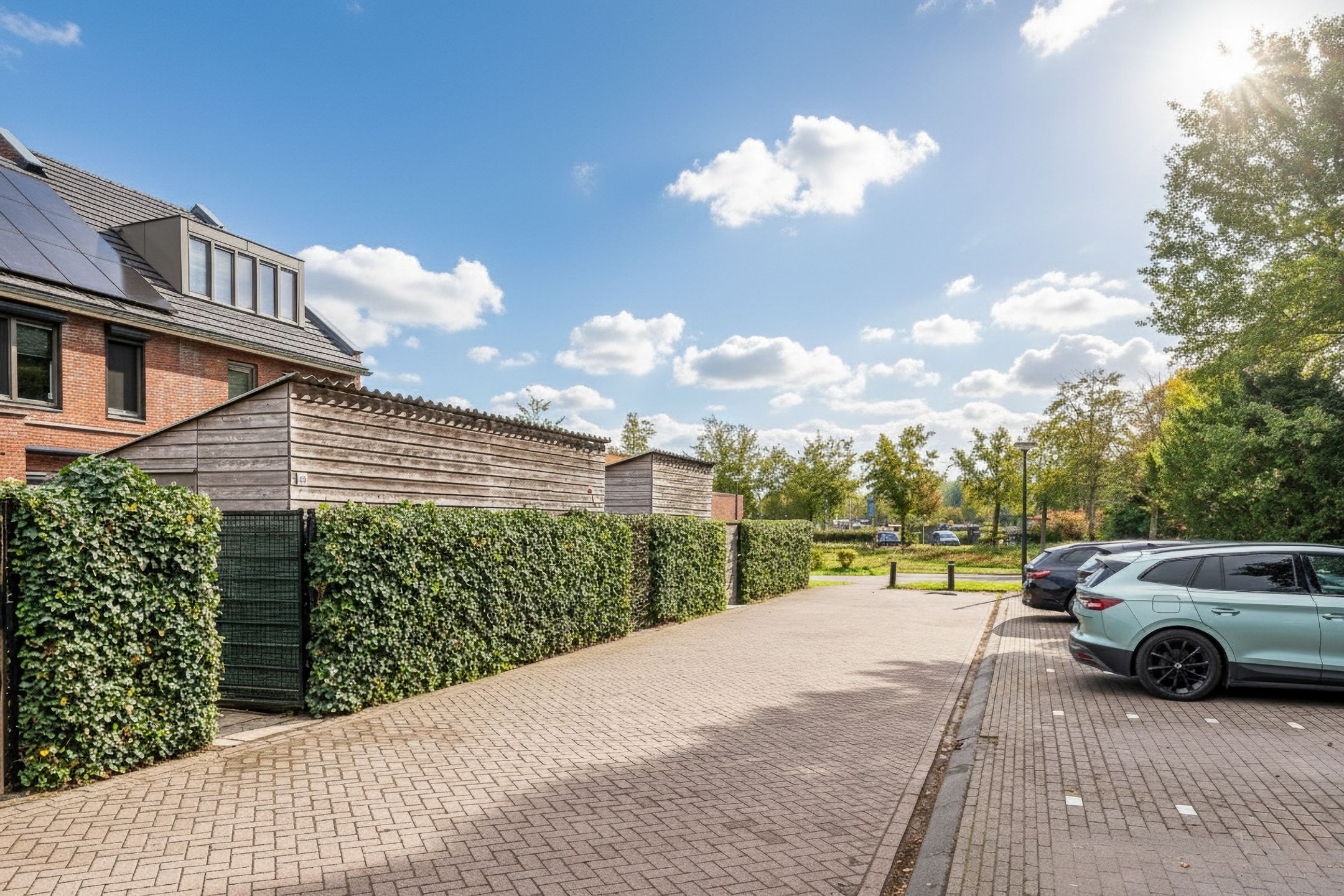 Foto 45 van Honingbij 104