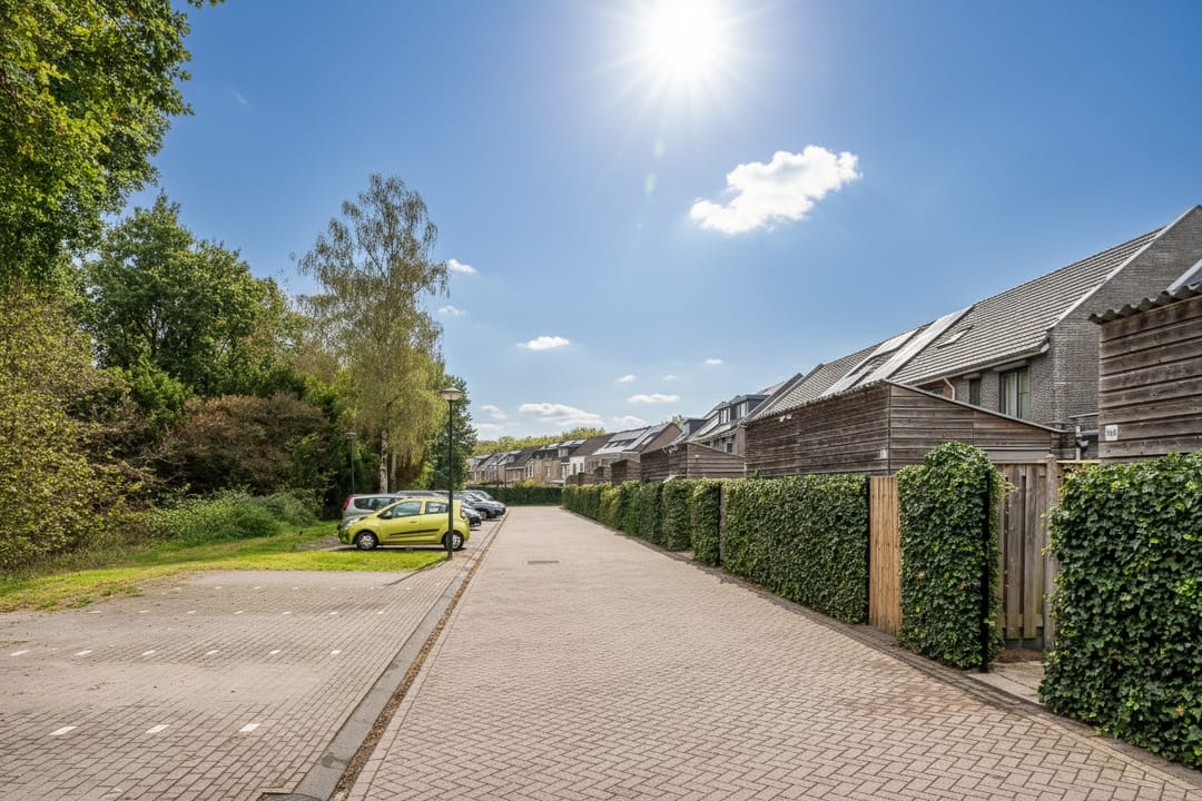 Foto 46 van Honingbij 104