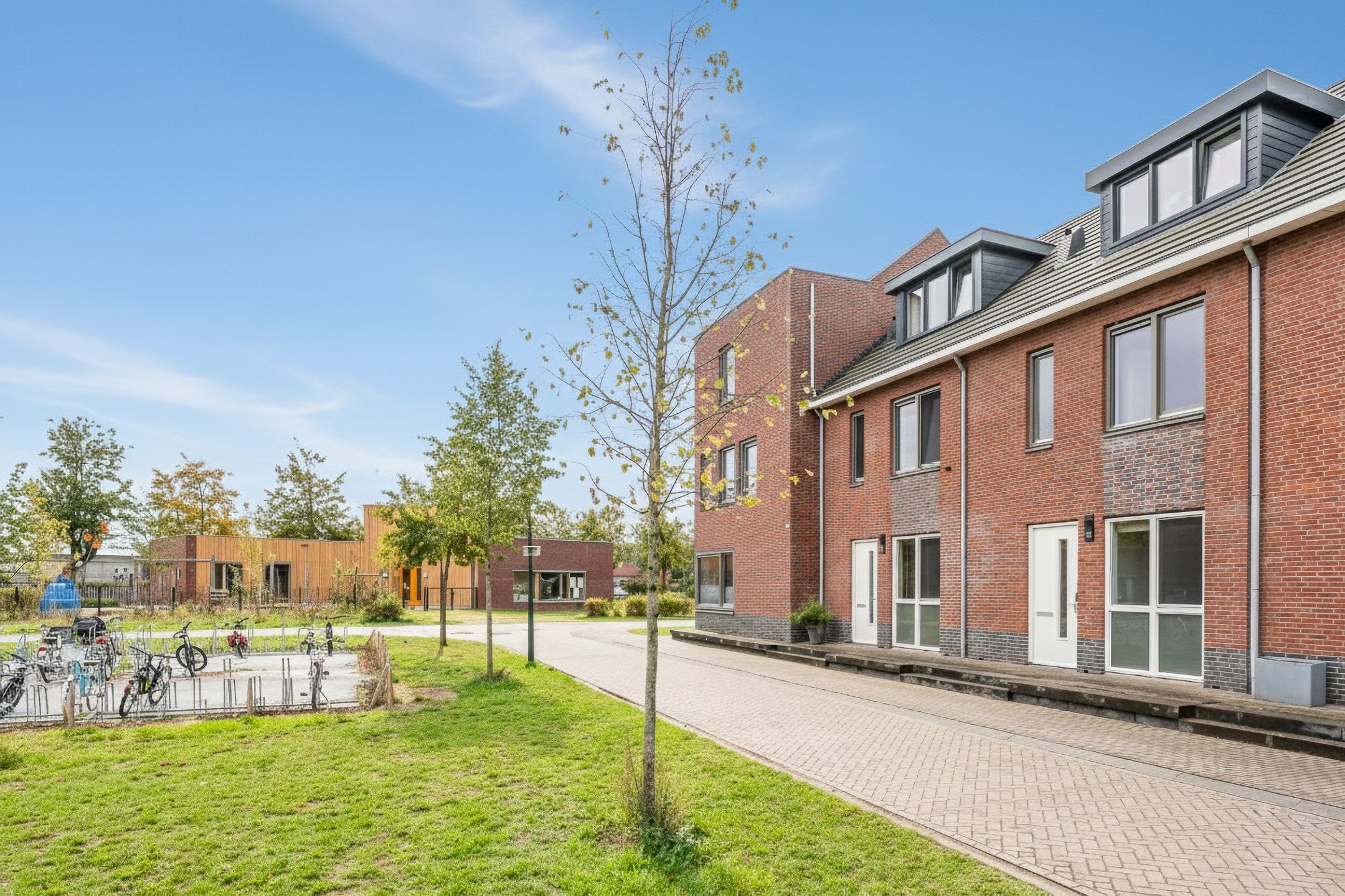 Foto 48 van Honingbij 104