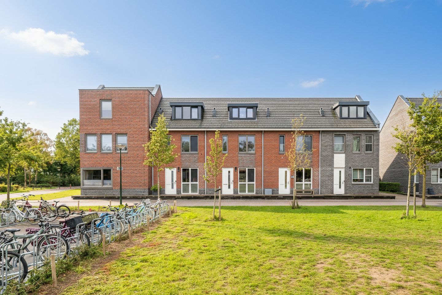 Foto 50 van Honingbij 104