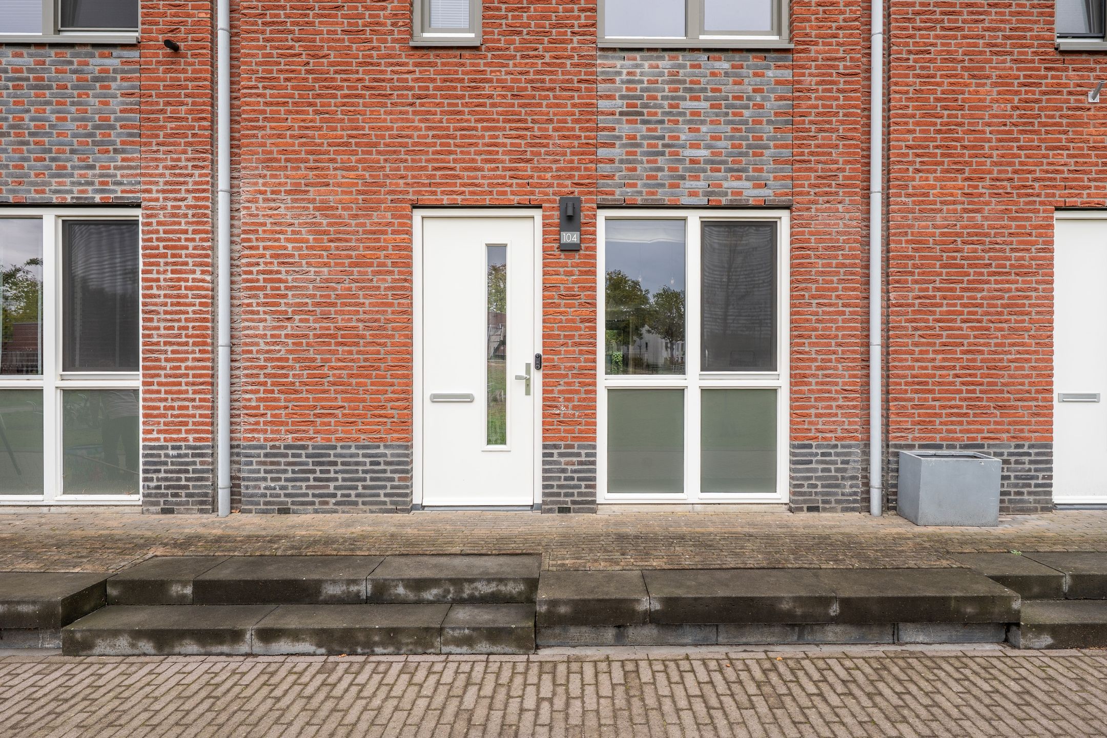 Foto 51 van Honingbij 104