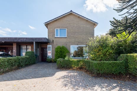 undefined main image