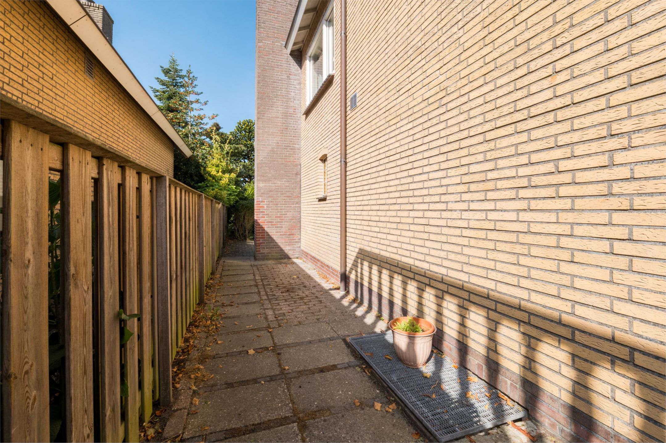 Foto 36 van Warmoltsstrjitte 56