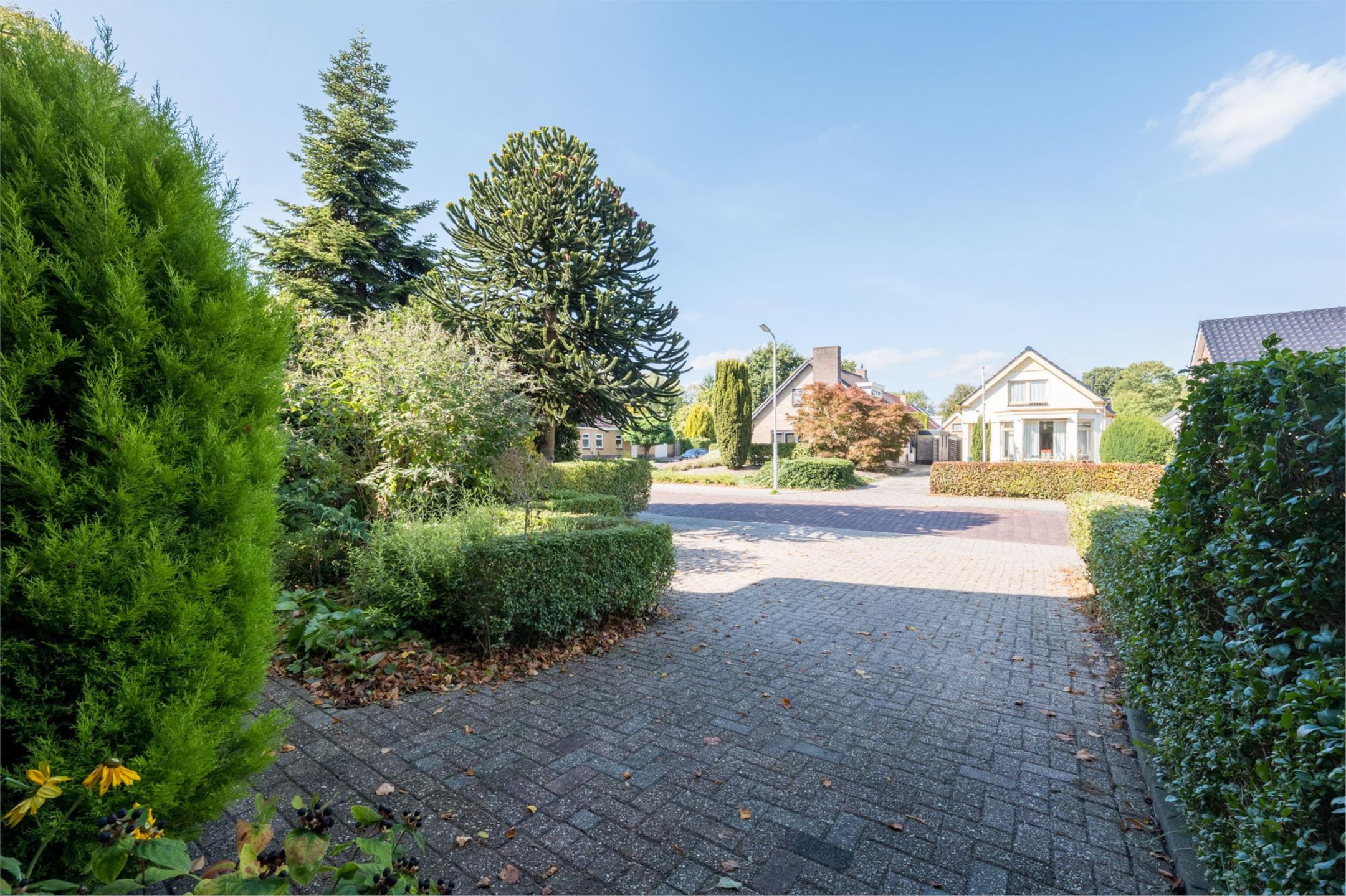 Foto 39 van Warmoltsstrjitte 56