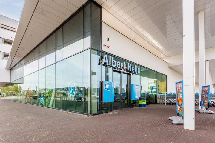 Photo 50 of Francisco Pizarrostraat 52