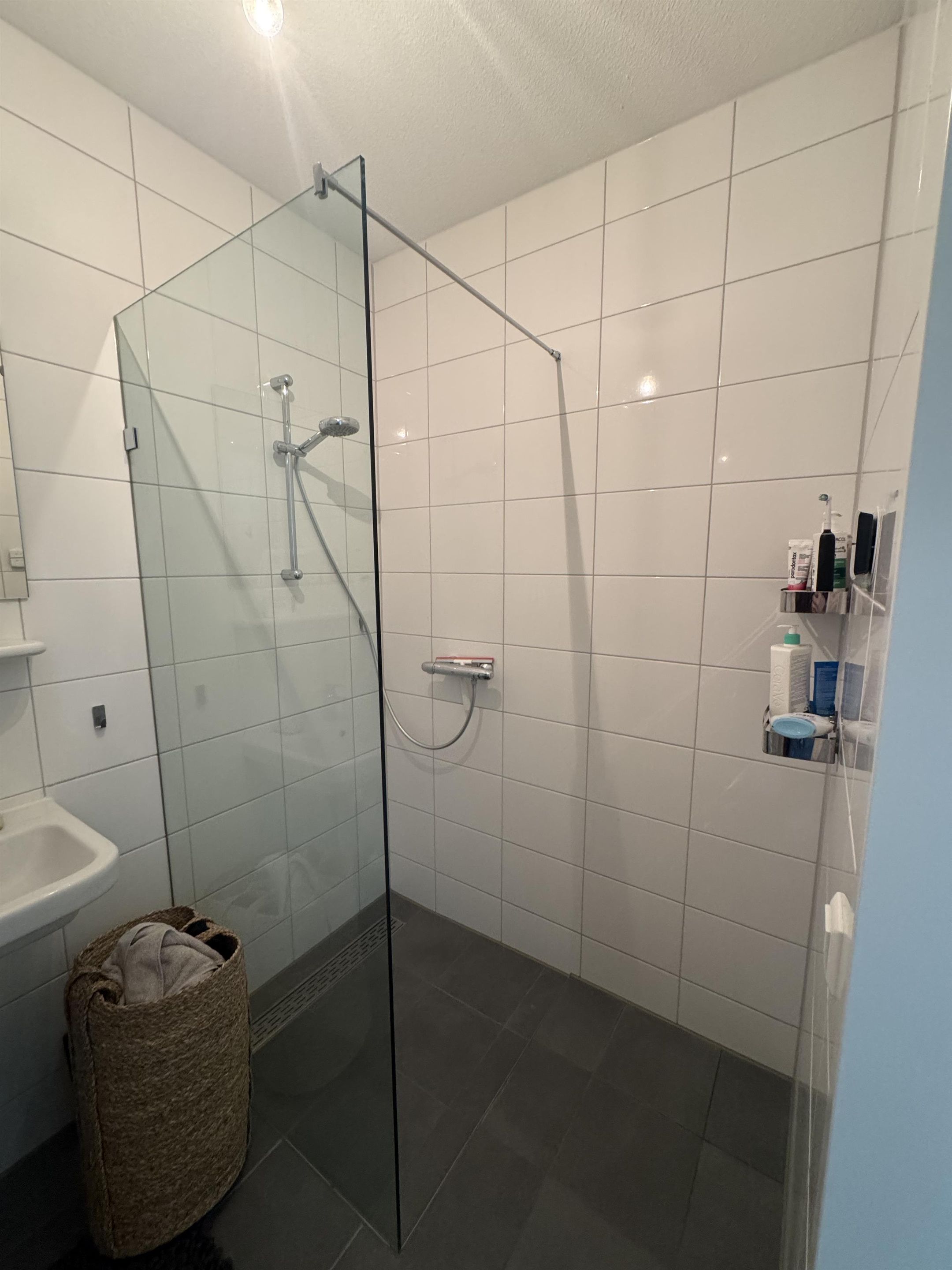 Foto 6 van Homeruslaan 147