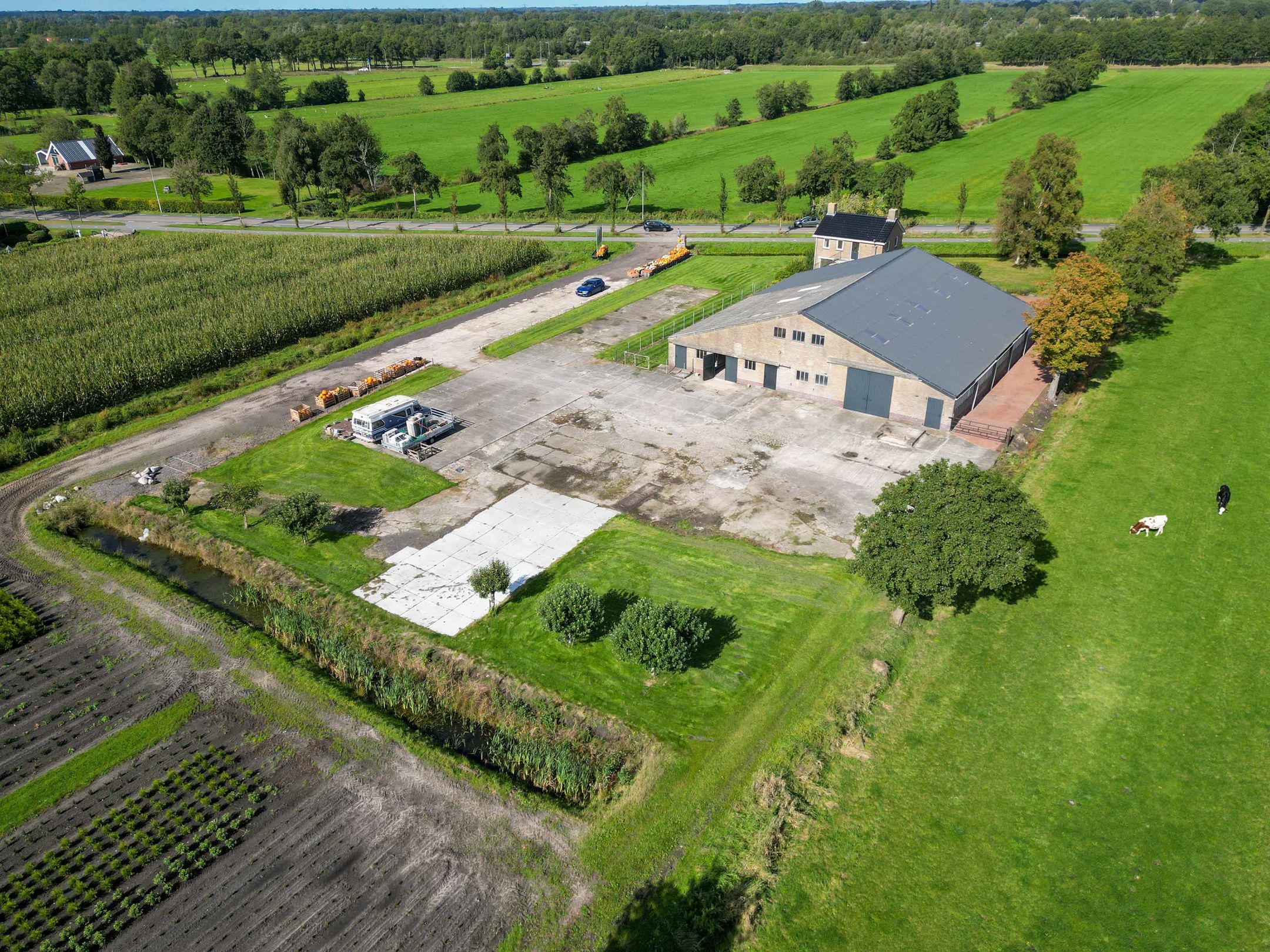 Foto 6 van De Holm 15-I