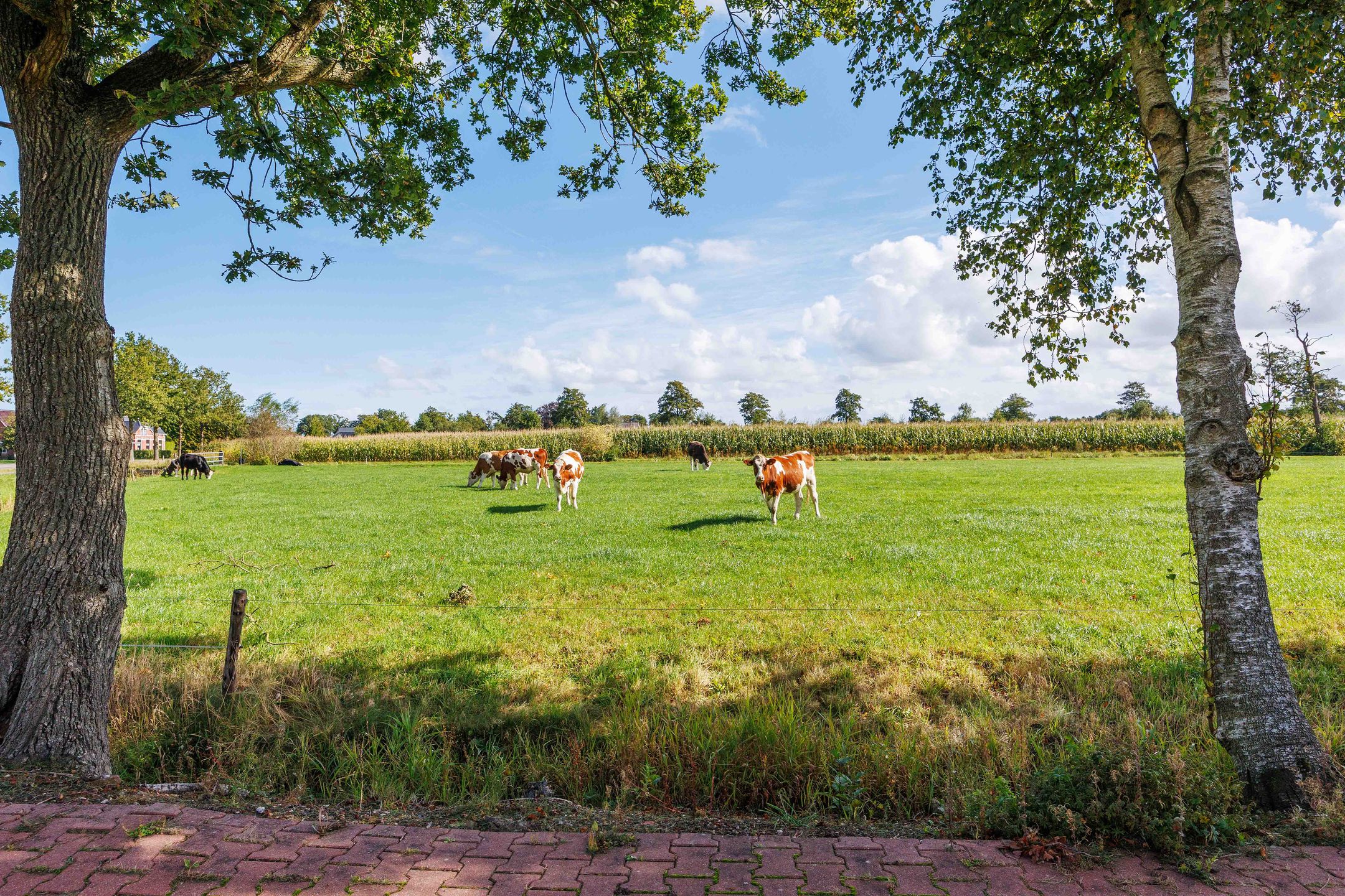 Foto 57 van De Holm 15-I