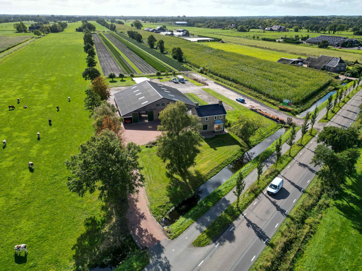 Foto 64 van De Holm 15-I