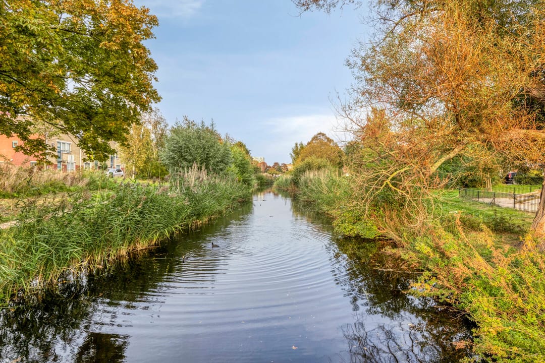 Foto 26 van Johan Gramstraat 35