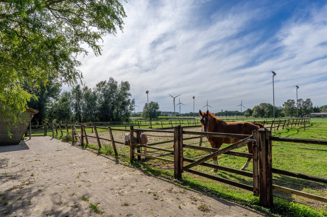 Foto 43 van Bandijk 41