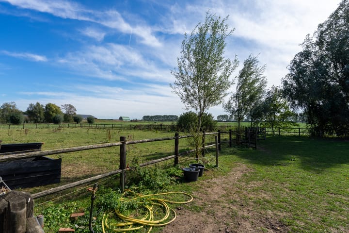 Photo 46 of Bandijk 41