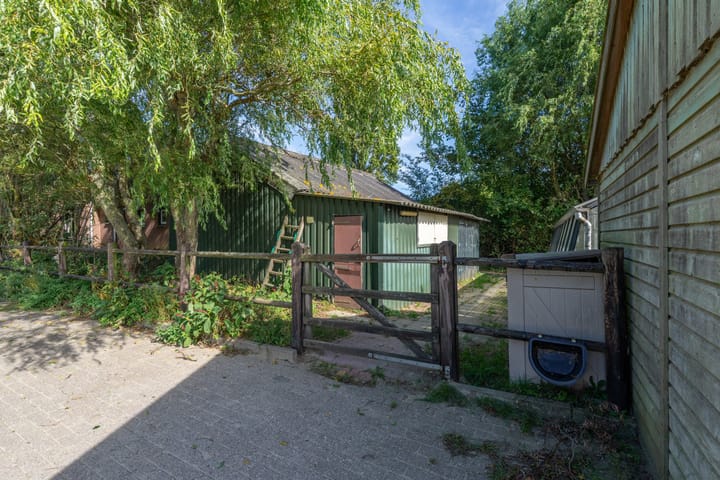 Photo 49 of Bandijk 41