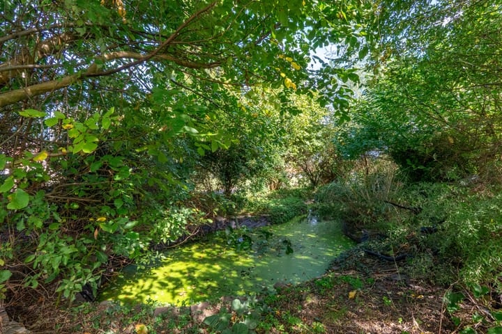 Photo 51 of Bandijk 41