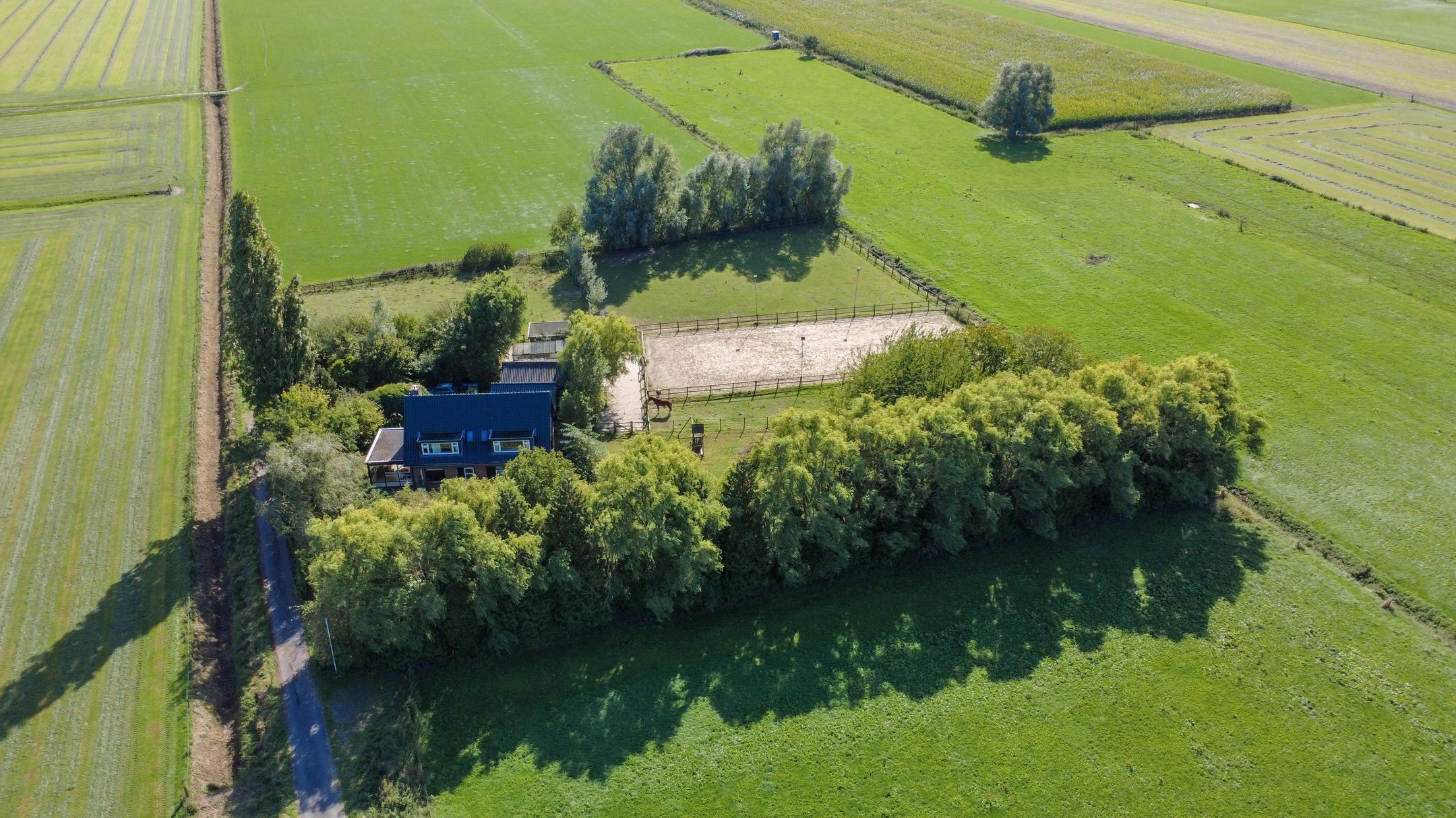 Foto 63 van Bandijk 41