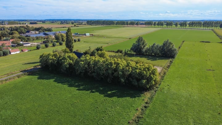 Photo 59 of Bandijk 41