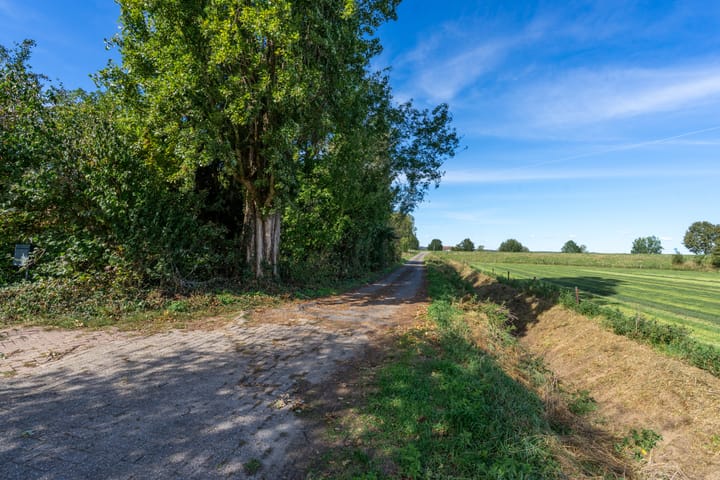 Photo 55 of Bandijk 41