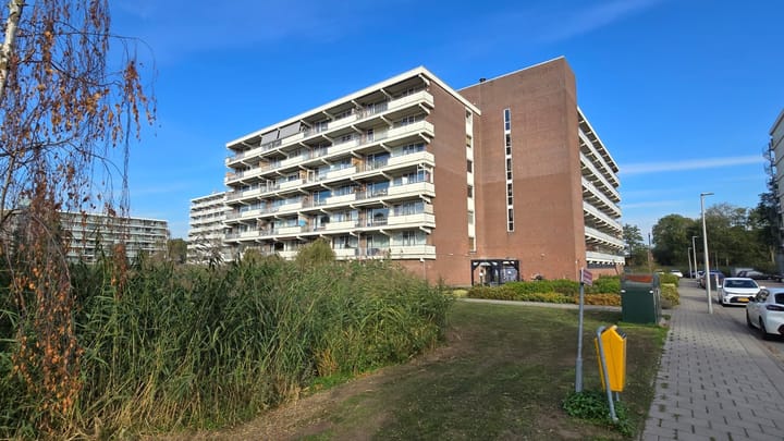 Foto 25 van Elzenhorst 81