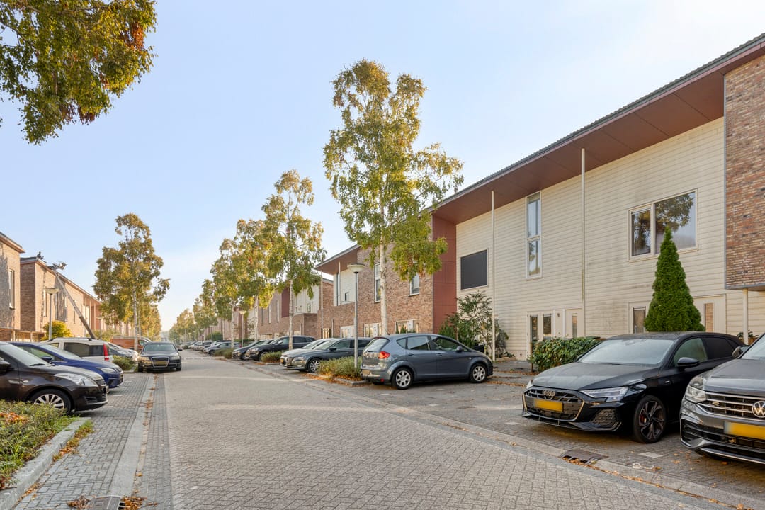 Foto 2 van Brancusistraat 10