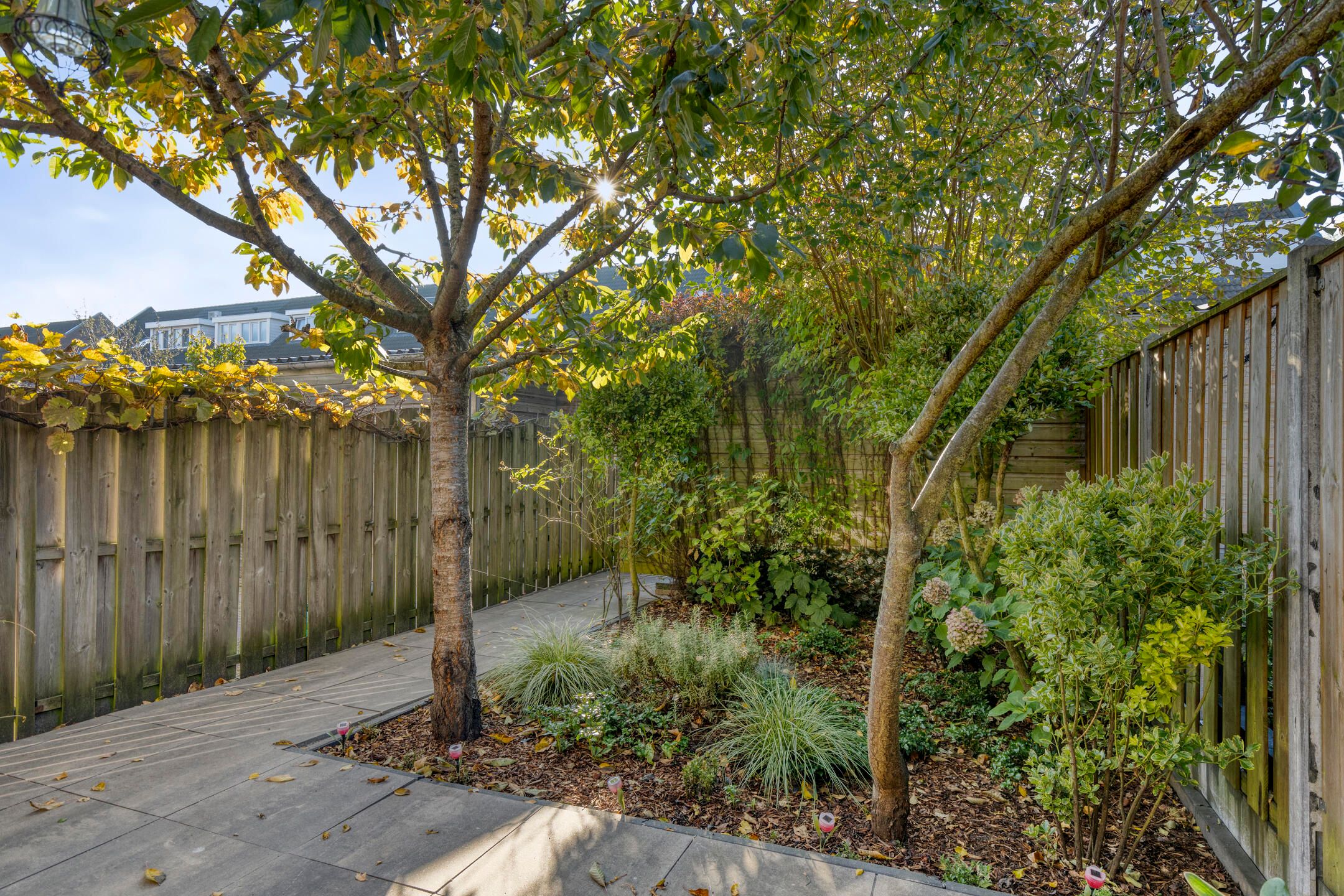 Foto 21 van Brancusistraat 10