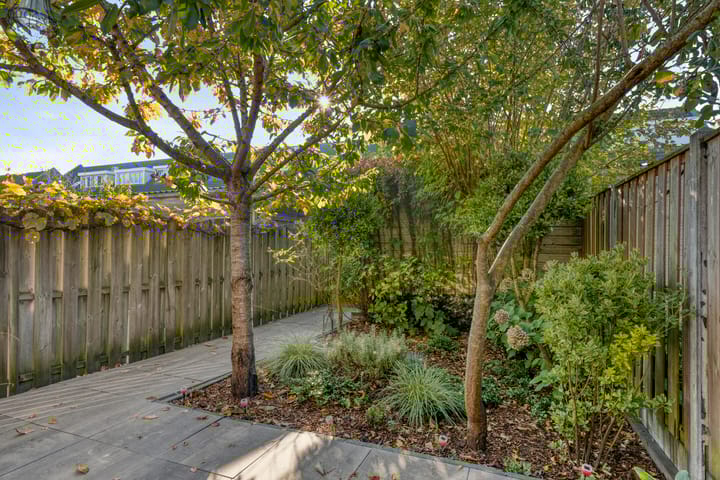 Foto 21 van Brancusistraat 10