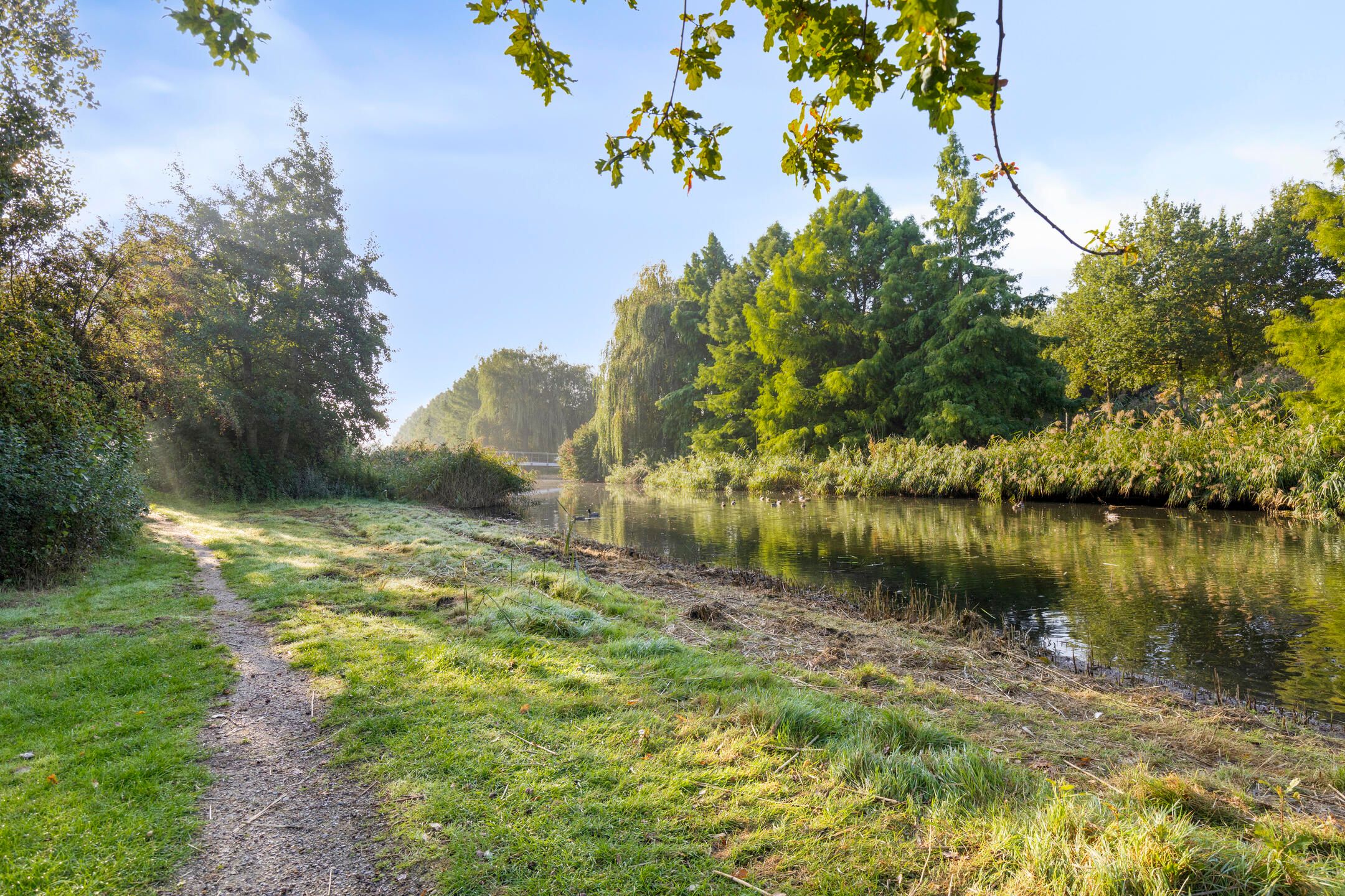 Foto 27 van Brancusistraat 10