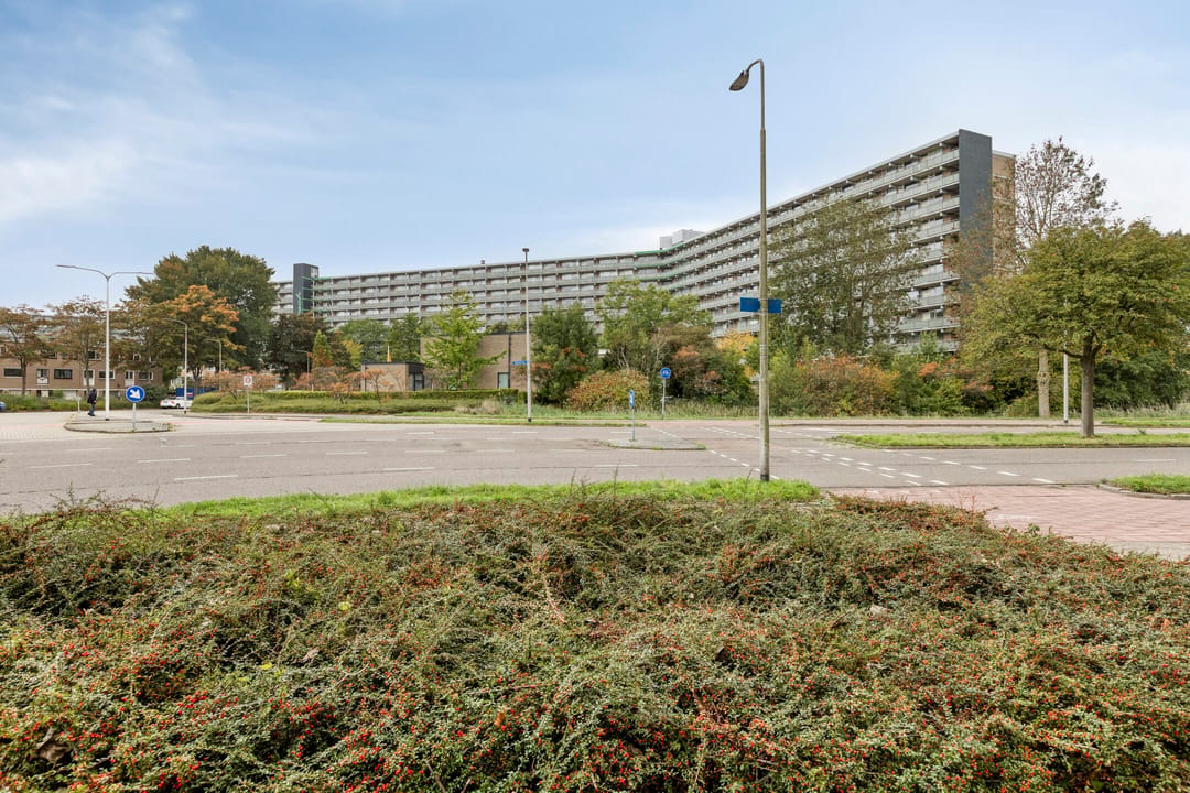 Foto 1 van Stadhoudersring 684