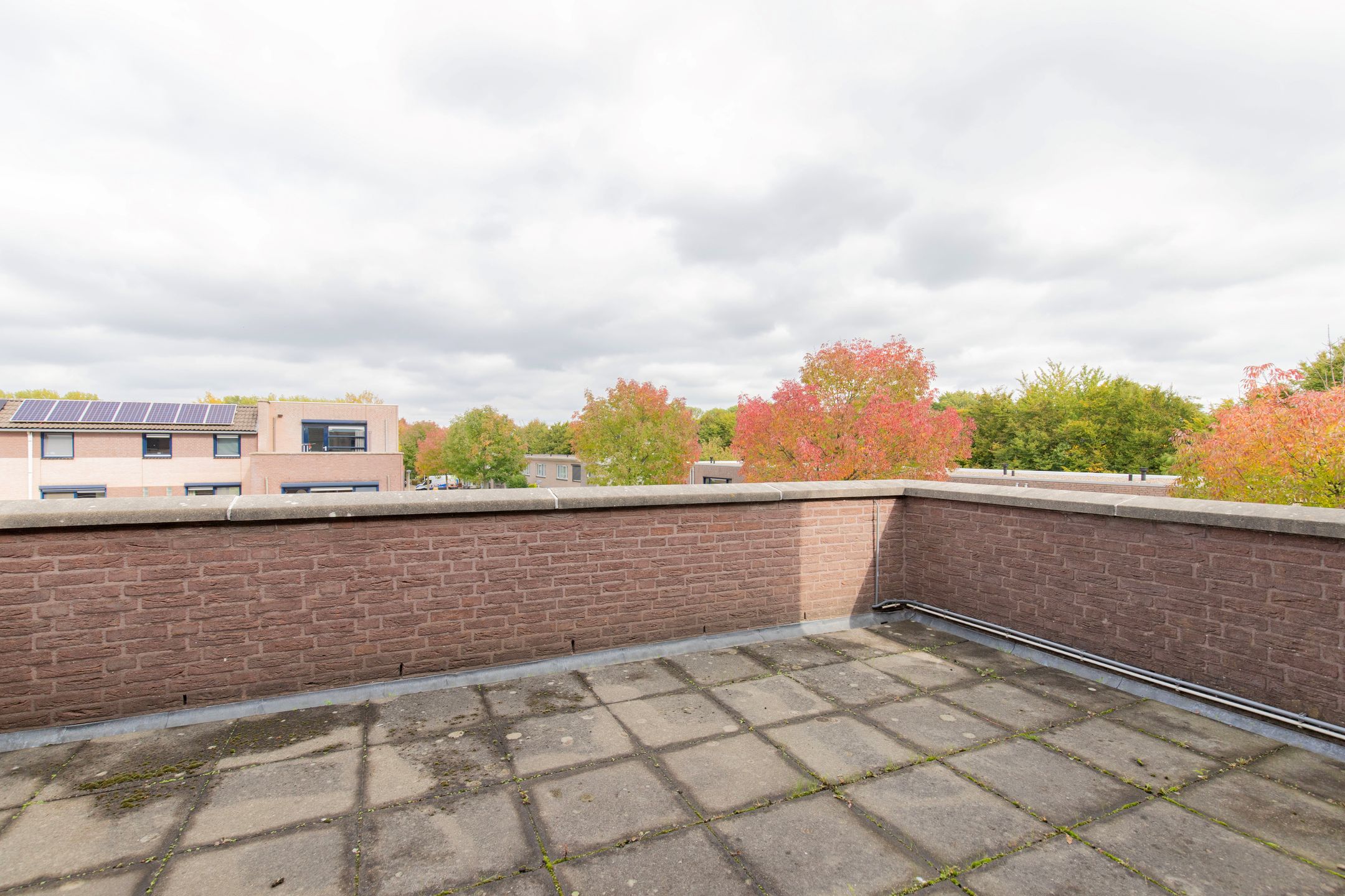 Foto 30 van Tacitusstraat 14