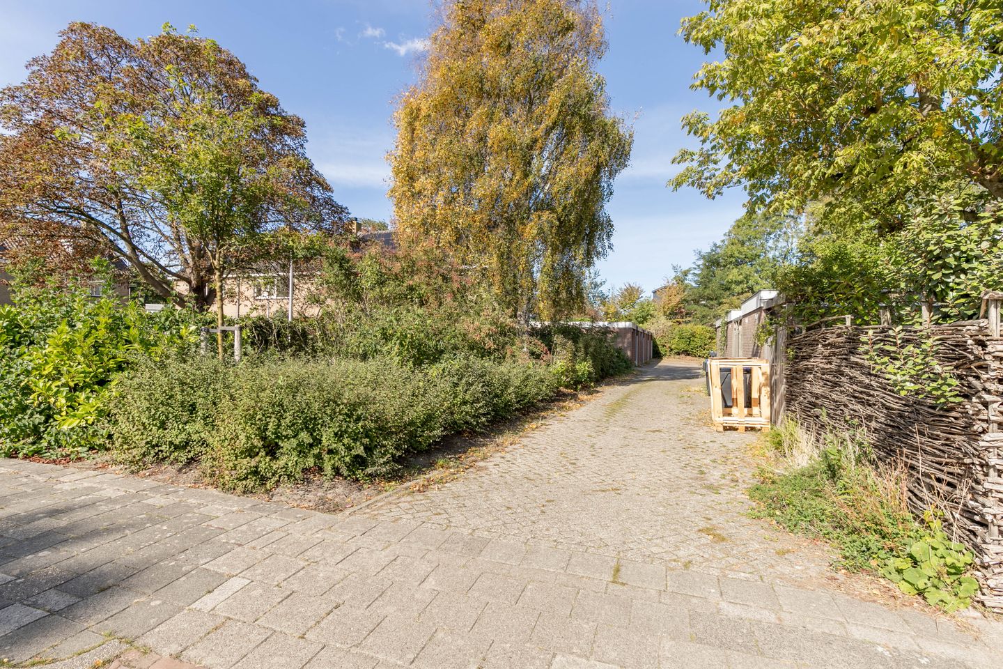 Bekijk foto 3 van Sternstraat 21-A