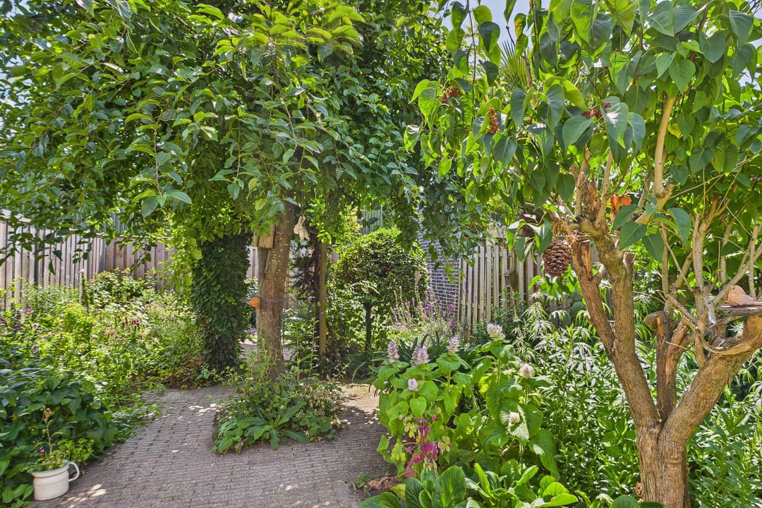 Foto 32 van Hogendijk 41