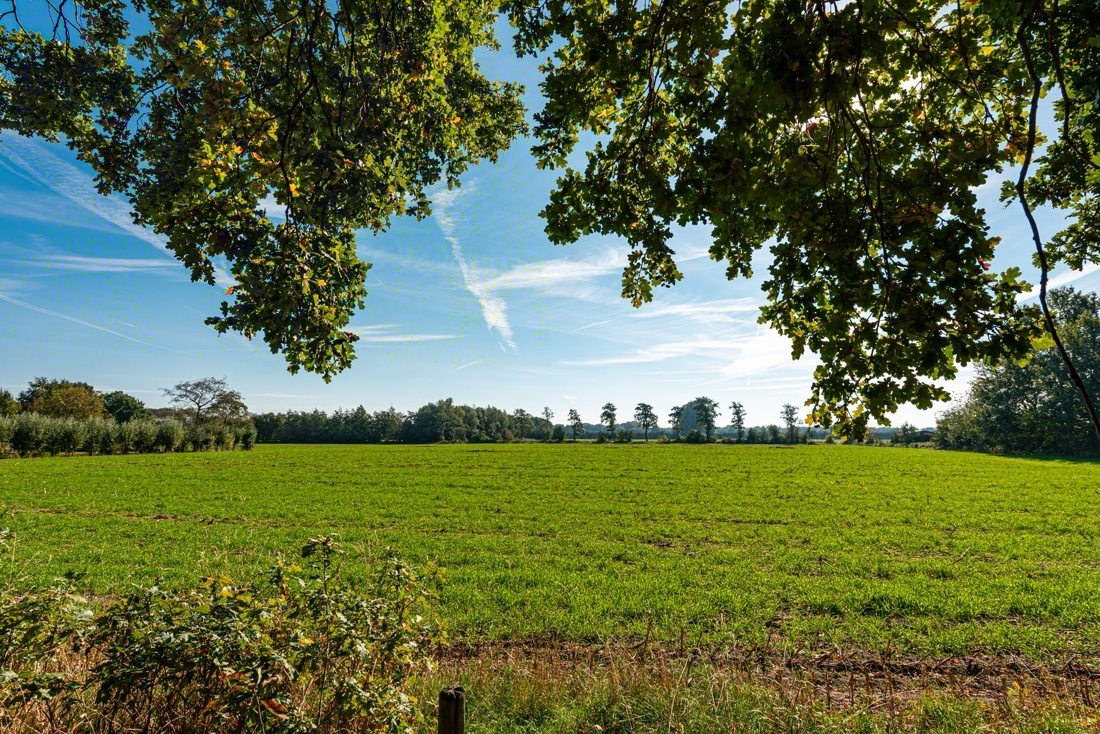 Foto 6 van Prinses Marijkelaan 1