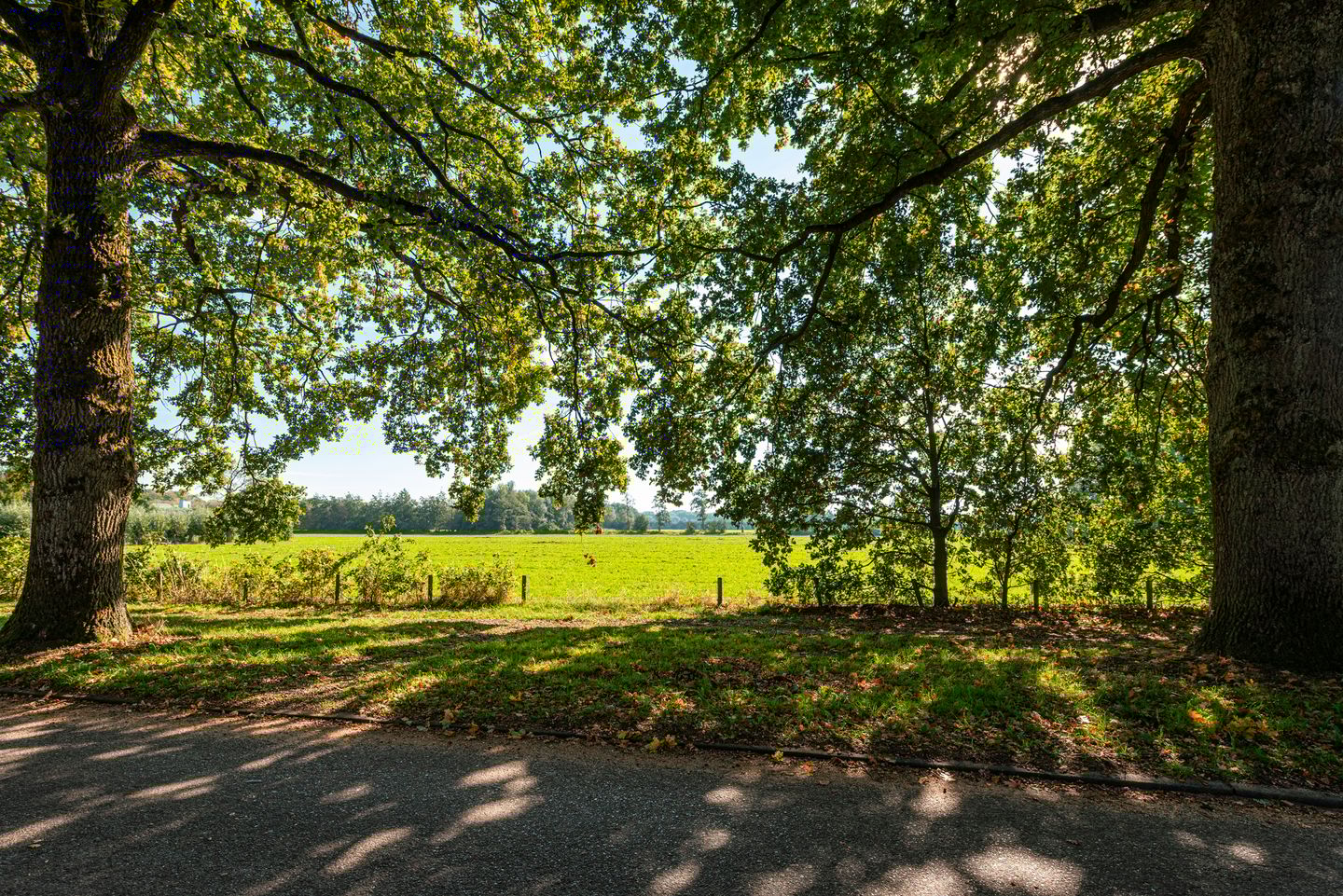 Foto 40 van Prinses Marijkelaan 1