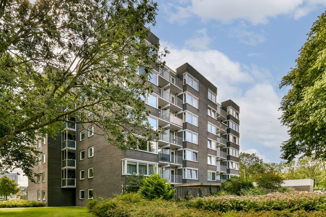 Photo 2 of Graan voor Visch 16224