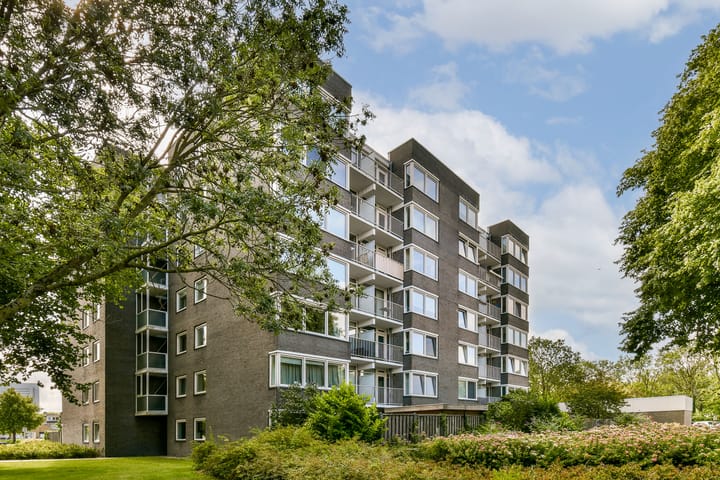 Foto 2 van Graan voor Visch 16224