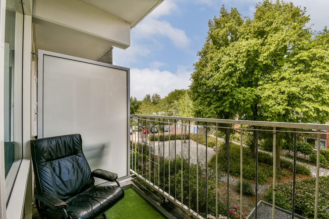 Photo 13 of Graan voor Visch 16224