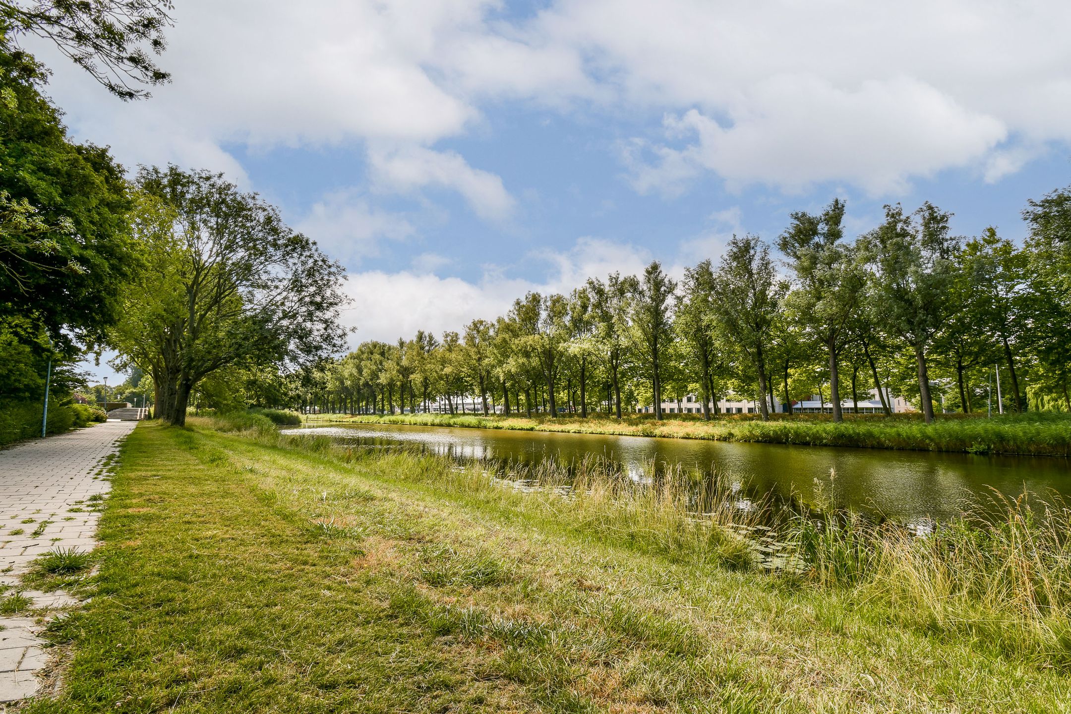 Photo 18 of Graan voor Visch 16224