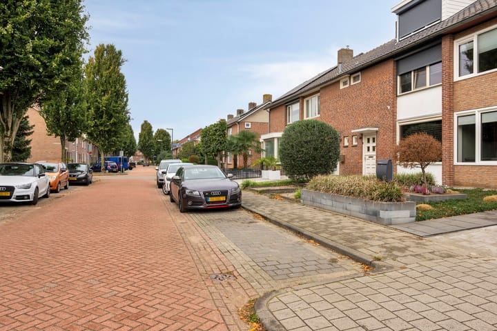 Foto 42 van Lange Mees 46