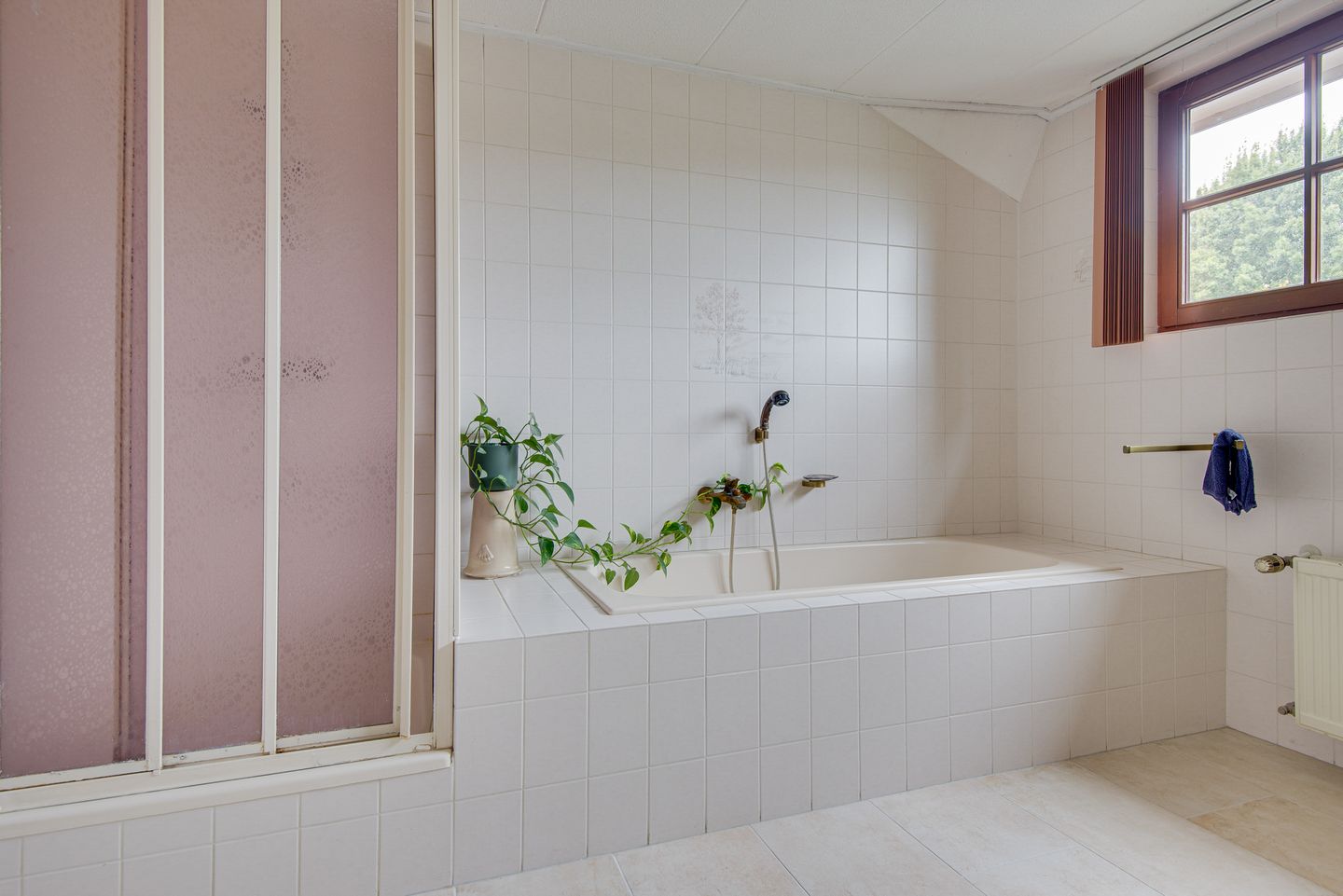 Photo 50 of Biezenweide 15