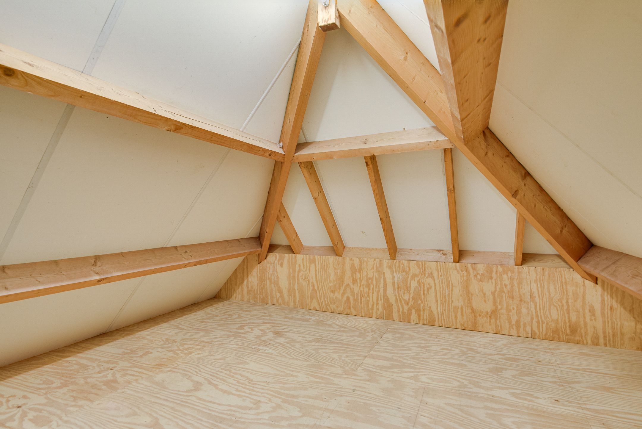 Photo 57 of Biezenweide 15